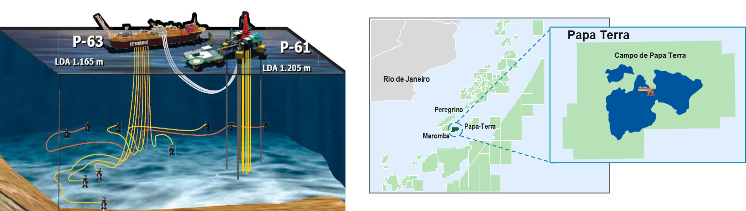 papaterra imagem.png